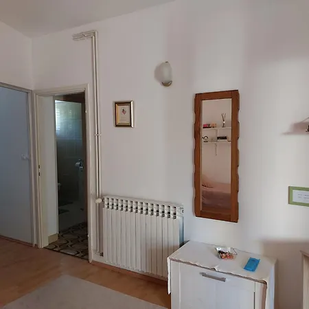 Goga Проживание в семье *